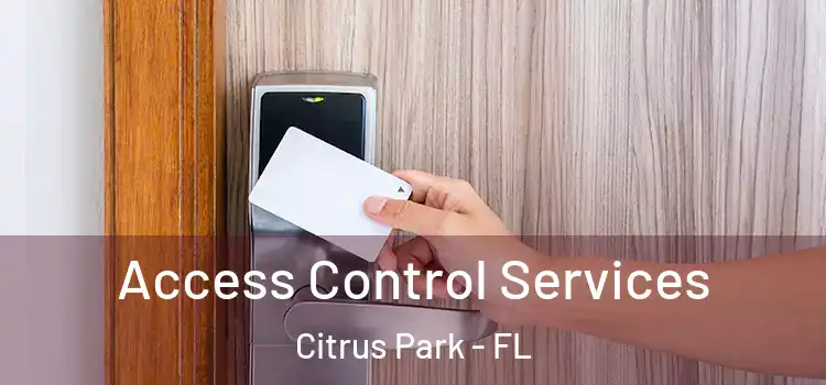 Access Control Services Citrus Park - FL