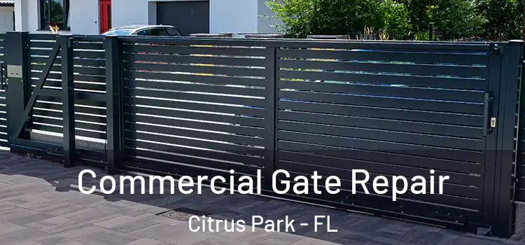 Commercial Gate Repair Citrus Park - FL