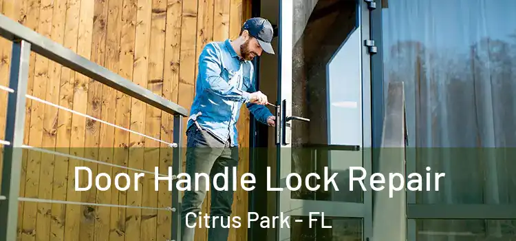 Door Handle Lock Repair Citrus Park - FL