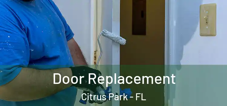 Door Replacement Citrus Park - FL