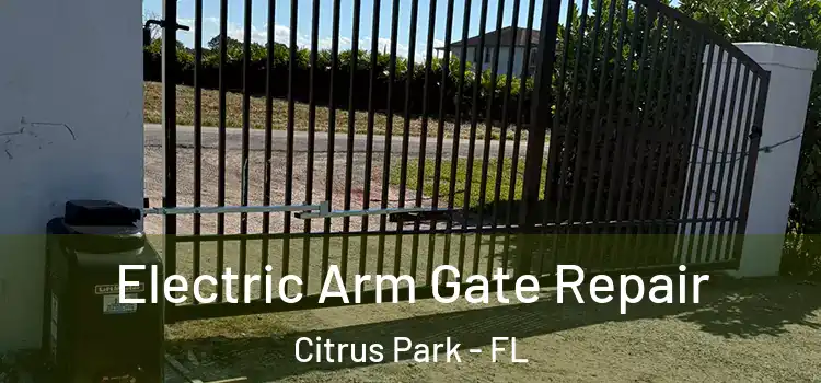 Electric Arm Gate Repair Citrus Park - FL