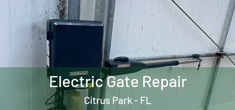 Electric Gate Repair Citrus Park - FL