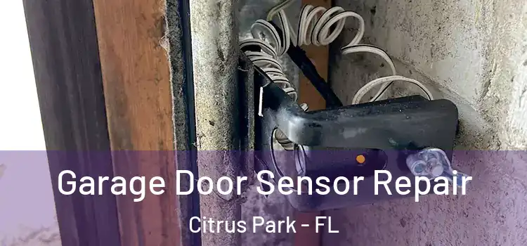 Garage Door Sensor Repair Citrus Park - FL