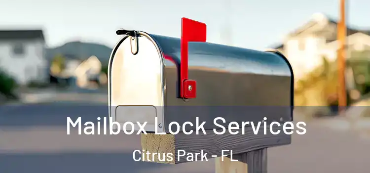  Mailbox Lock Services Citrus Park - FL