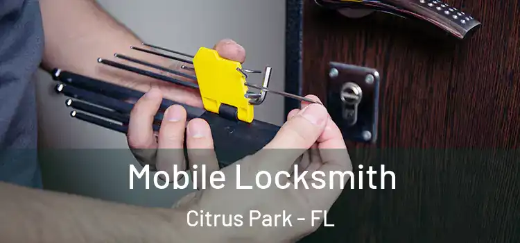Mobile Locksmith Citrus Park - FL