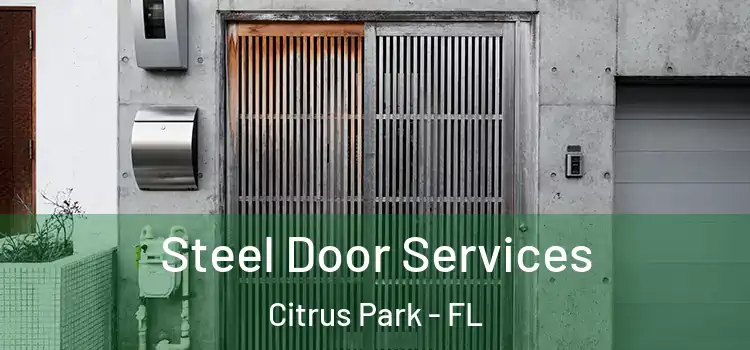 Steel Door Services Citrus Park - FL