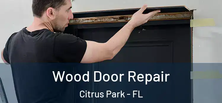 Wood Door Repair Citrus Park - FL