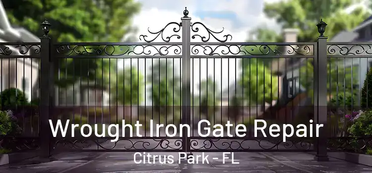 Wrought Iron Gate Repair Citrus Park - FL
